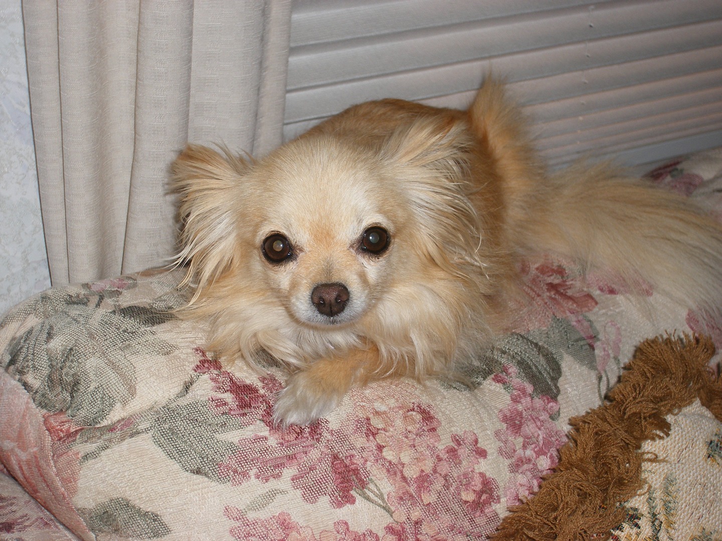 GALLERY Bakersfield Upholstery